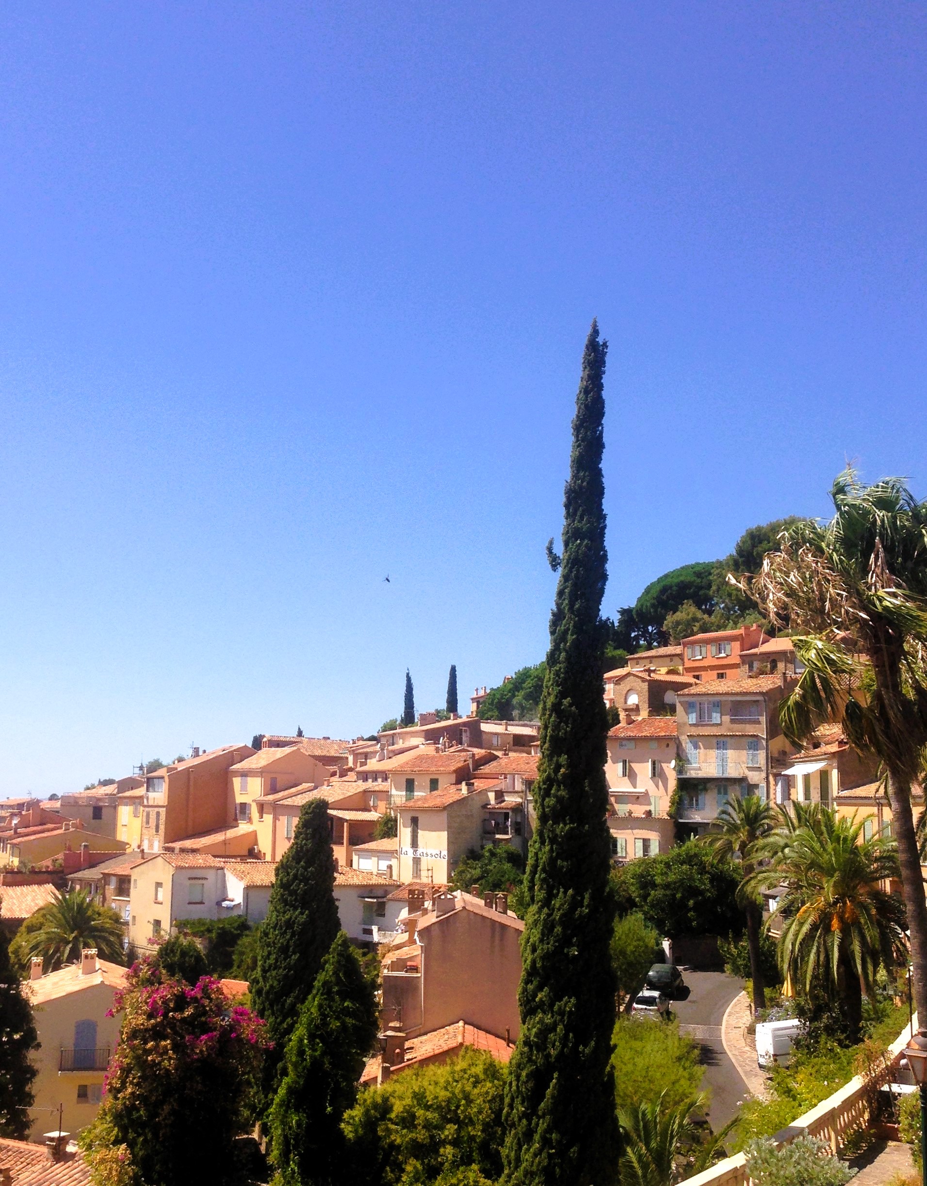 Bormes-les-Mimosas