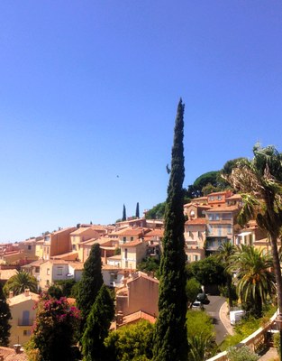 Bormes-les-Mimosas