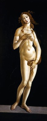 Botticelli, la Venere di Torino