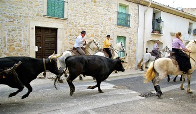 Camargue, tori e gardians