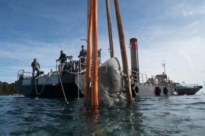 Cannes, ecomuseo sottomarino, l'immersione delle opere © J. deCaires Taylor