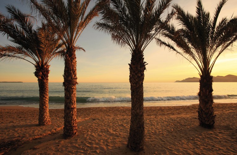 Cannes, le spiagge © Kelagopian