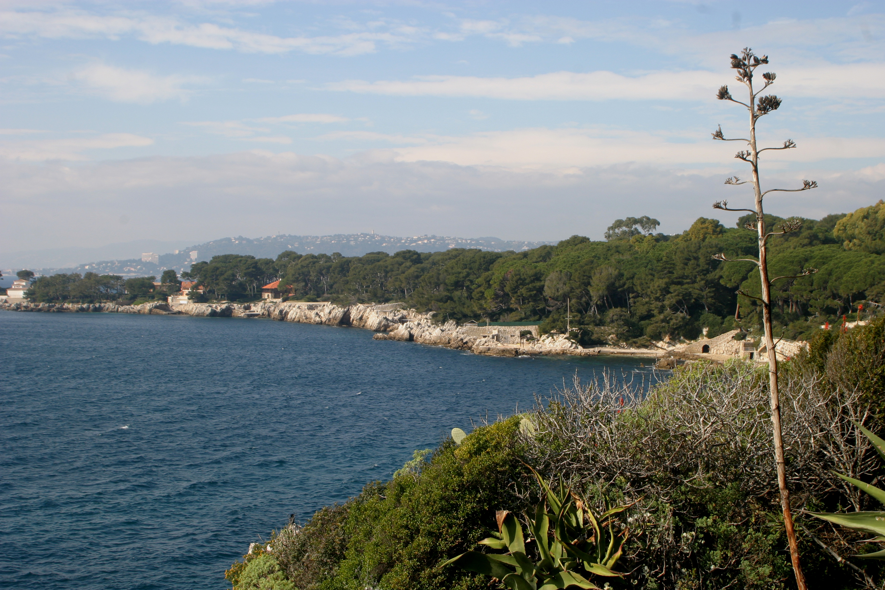 Cap d'Antibes, sentier du Littoral ou des Douaniers © Y. Seuret