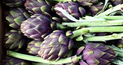 Carciofi viola per la barigoule