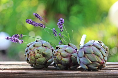 Carciofi viola