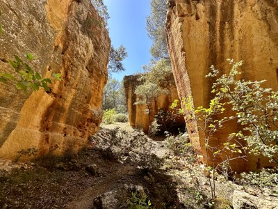 Carrières de Bibémus, Aix-en-Provence © photo M. Fraisset -1
