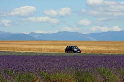 Casa provenzale tra la lavanda e il grano nei pressi di Valensole © Gianni Ottonello
