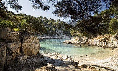 Cassis, Port-Pin