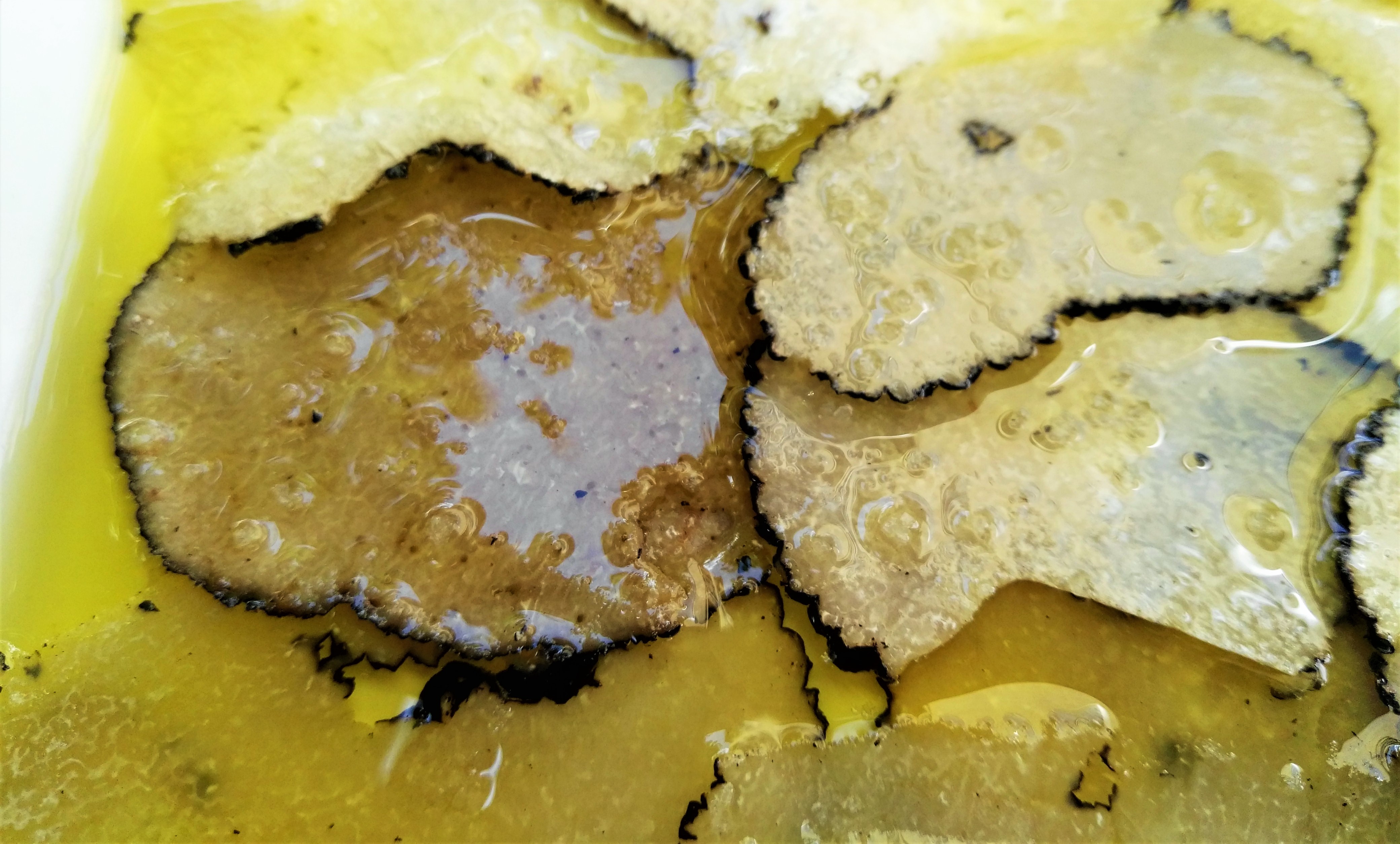 Chez Serge a Carpentras - La julienne di tartufo estivo
