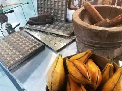 Chocolaterie Castelain, i frutti del cacao e le forme per bombon e ganches