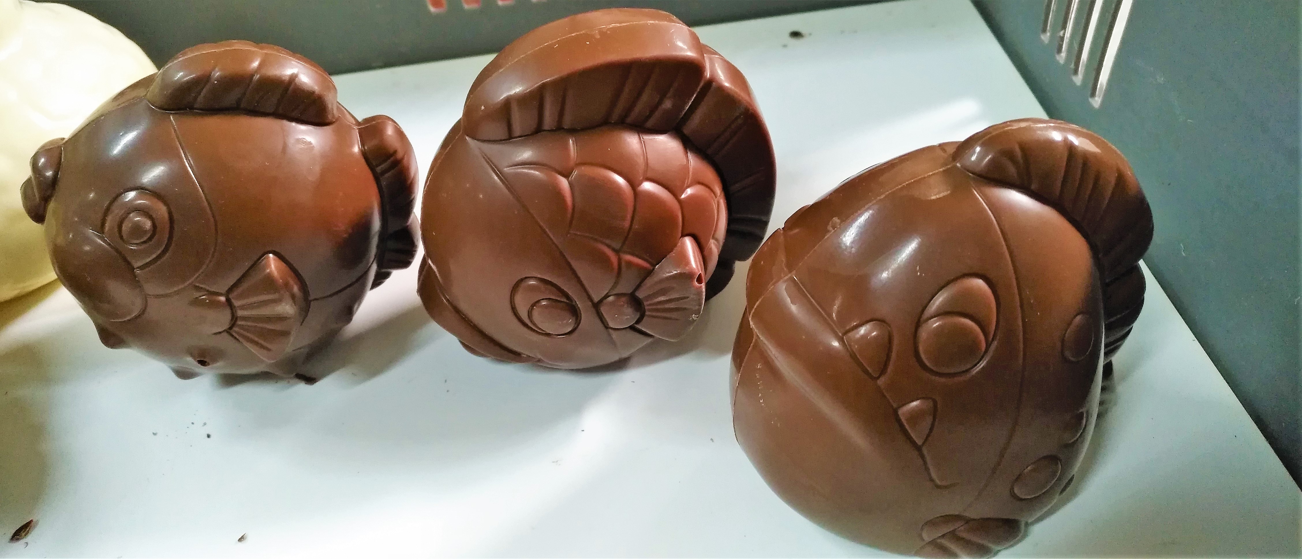 Chocolaterie Castelain, i pesci realizzati dai bambini aspiranti cioccolatieri.jpg