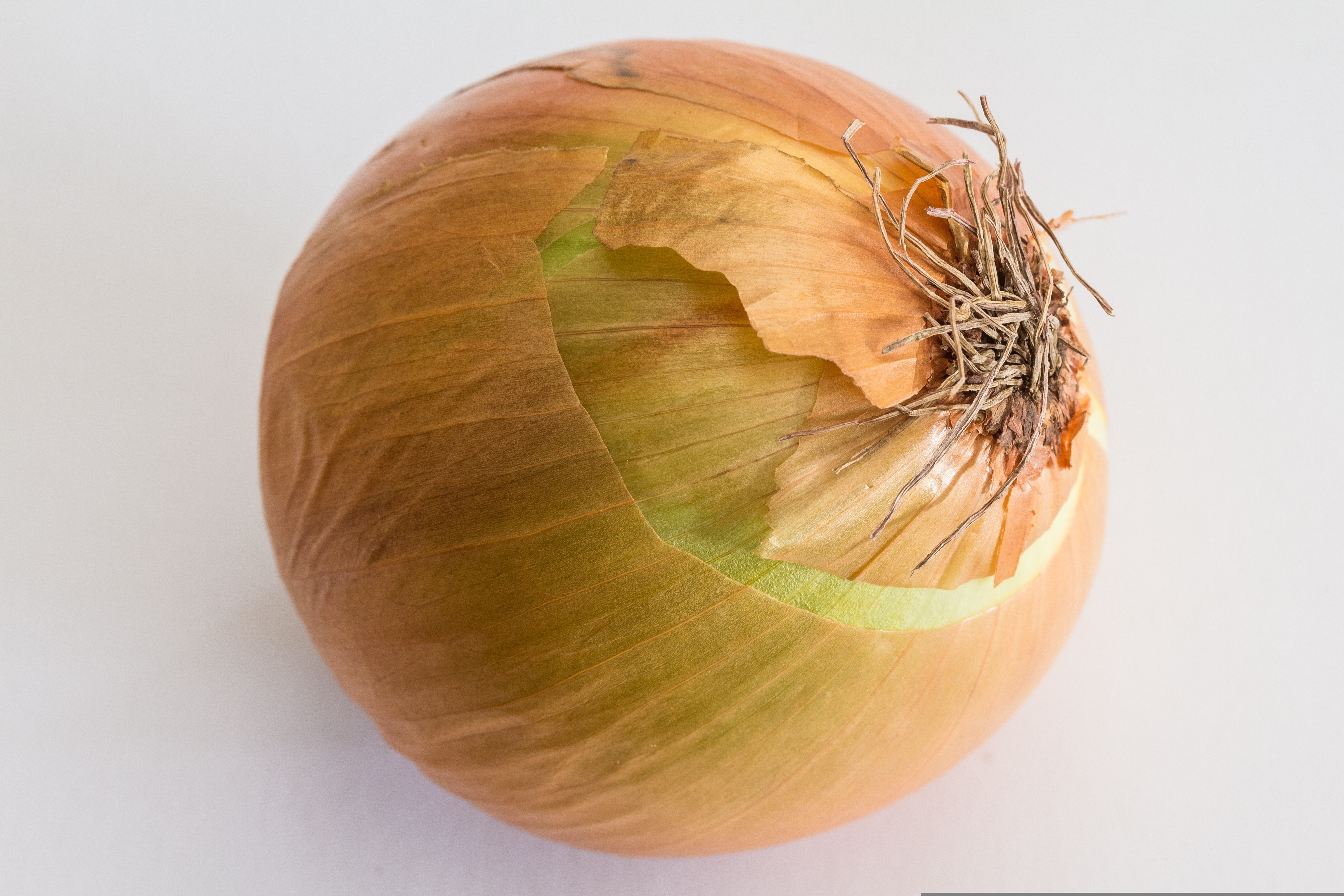 Cipolla bionda