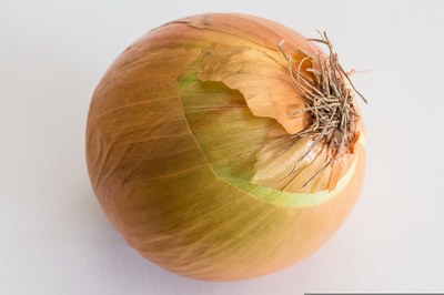Cipolla bionda