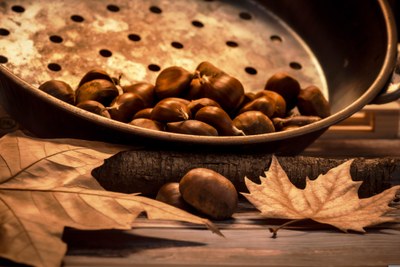 Collobrières, caldarroste alla Festa della Castagna