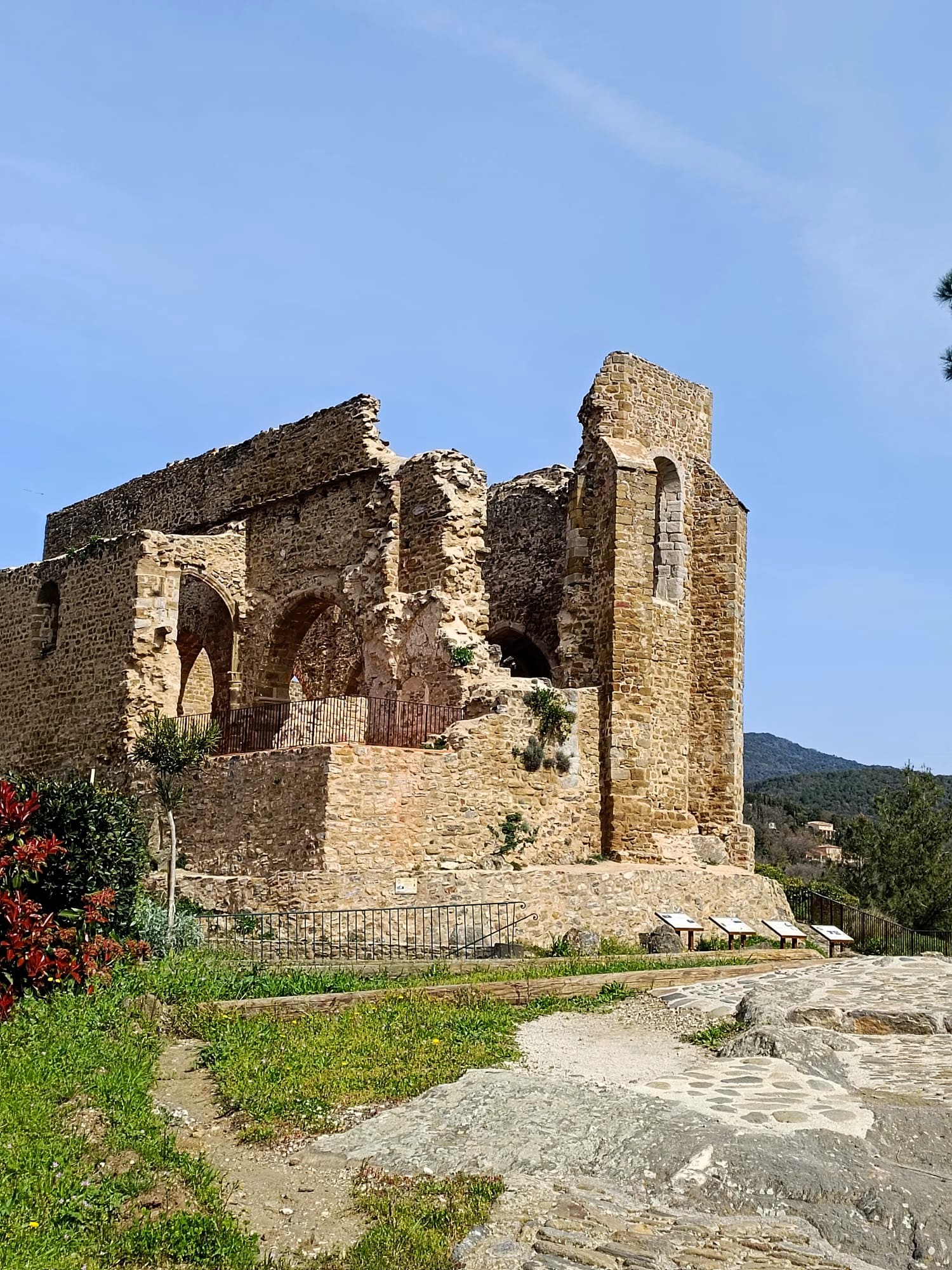 Collobrières, le rovine della chiesa di Saint-Pons