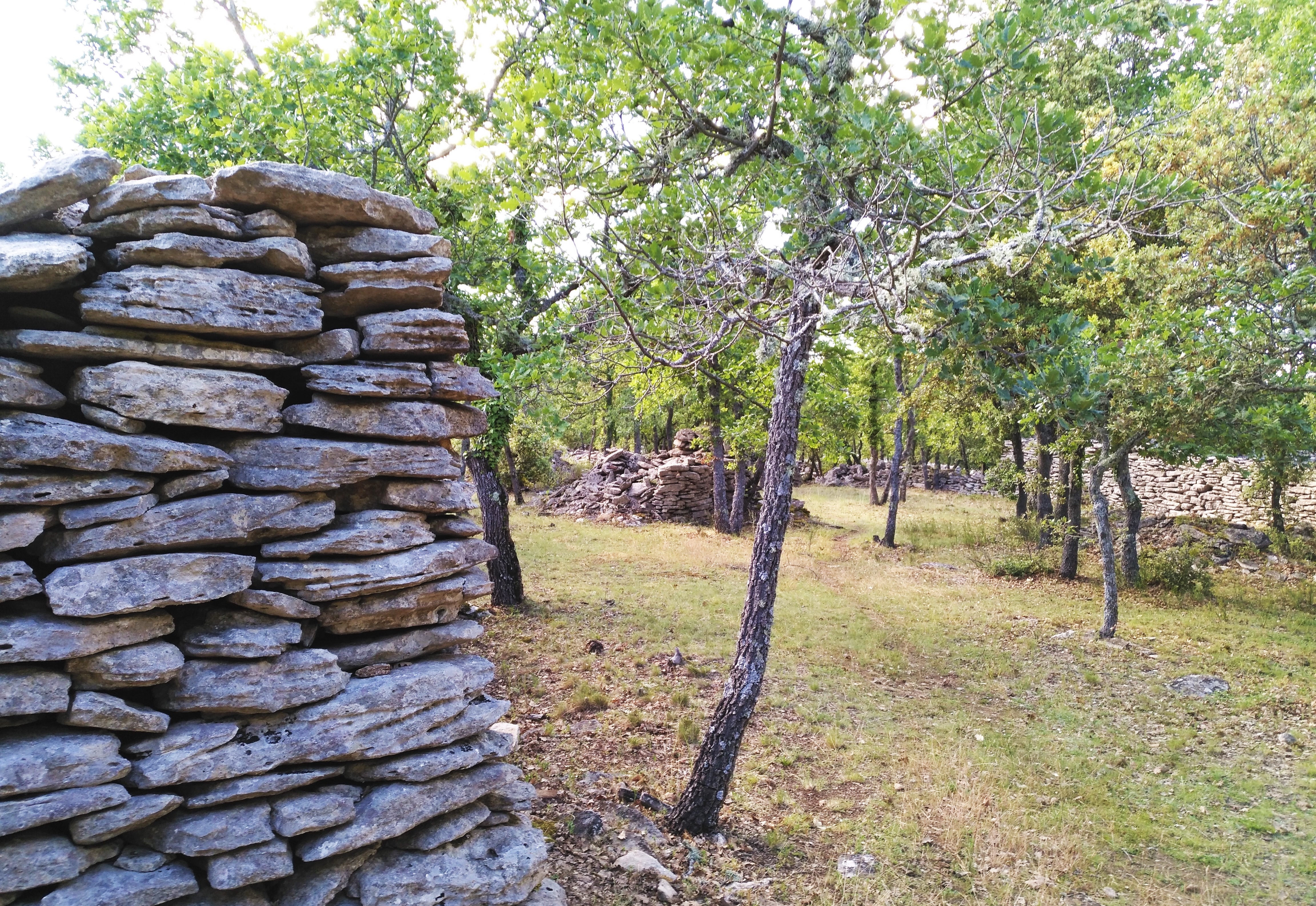 Costruzioni di petra a secco tra le querce