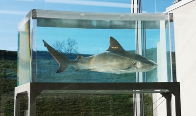 Damien Hirst a Château La Coste, opera della serie Natural History