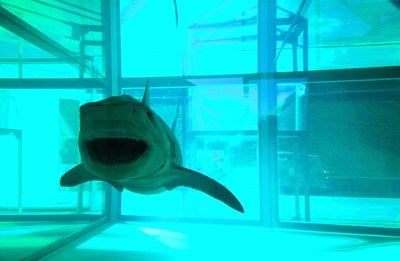 Damien Hirst a Château La Coste, serie Natural History