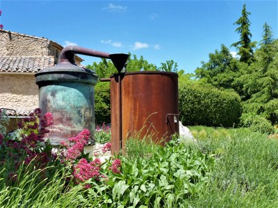 Distilleria Les Agnels - Un antico distillatore