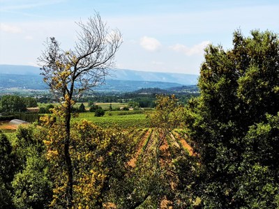 Domaine de la Coquillade, la vista dal giardino della spa