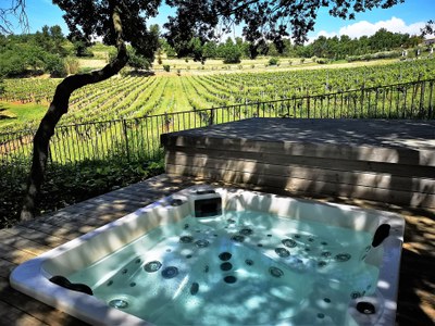 Domaine de la Coquillade, vasca jacuzzi sotto gli alberi