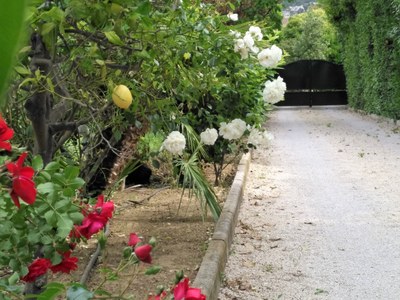 Domaine de l'Aufrêne, il terrain à pétanque