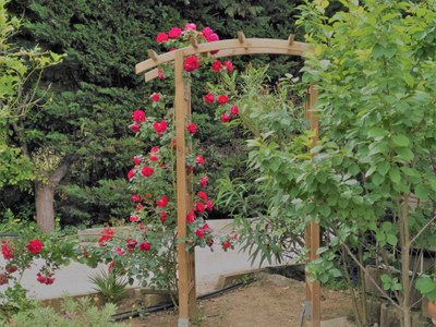 Domaine de l'Aufrêne, le rose