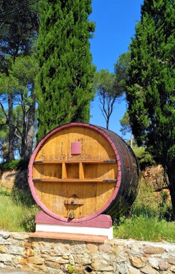 Domaine La Navicelle, l'ingresso della tenuta