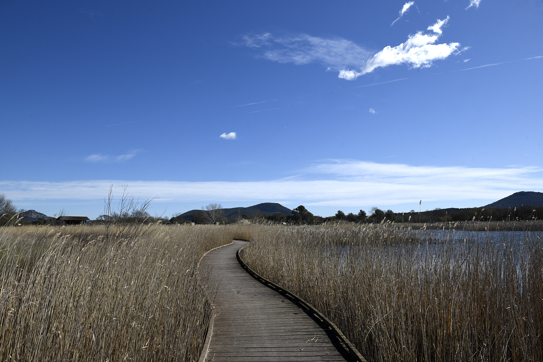 Espace naturel departemental du Plan de la Garde @ OT Hyères