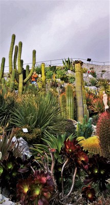 Èze, giardino esotico, scorcio