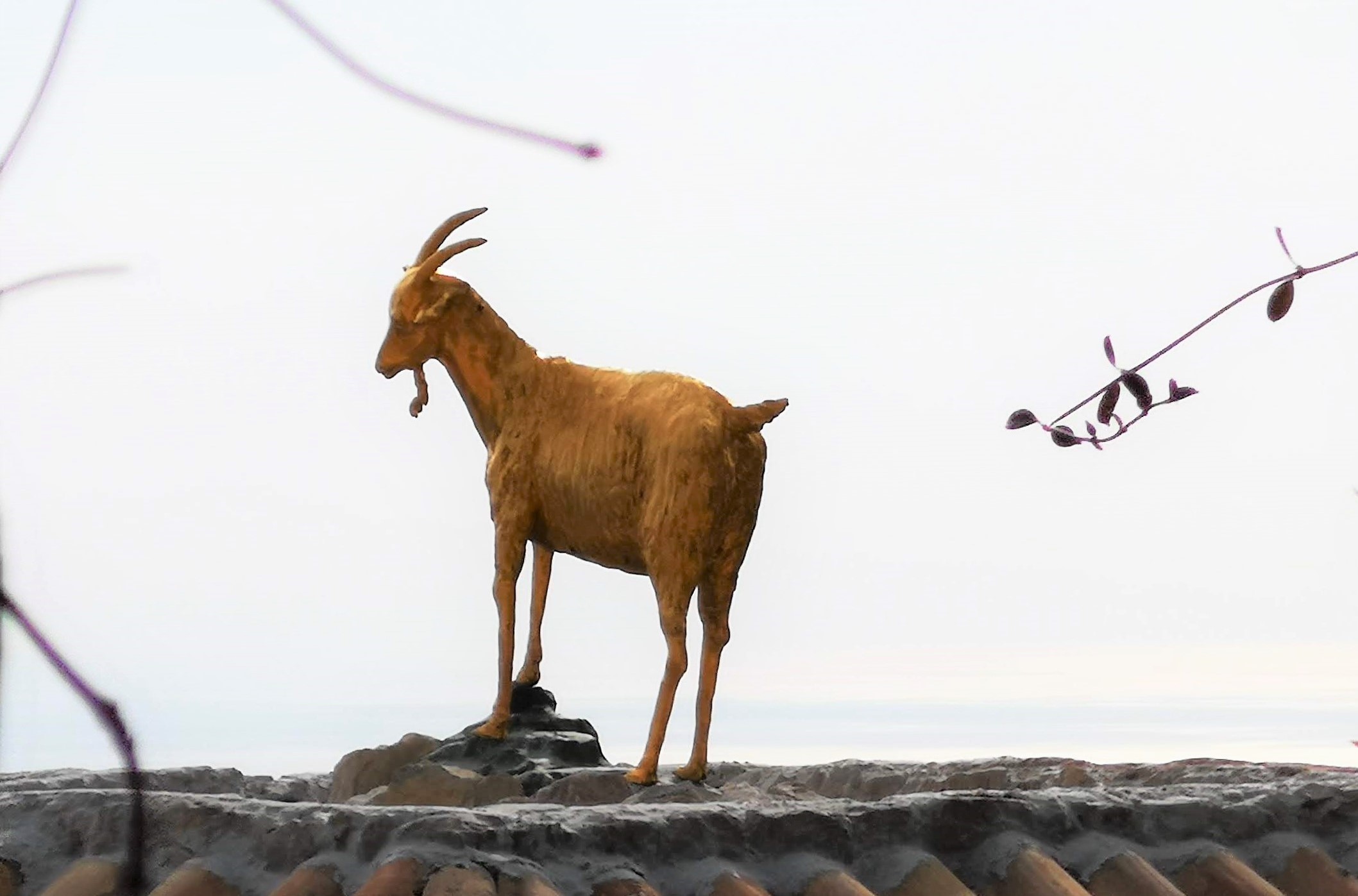 Èze, la chèvre d'or della leggenda