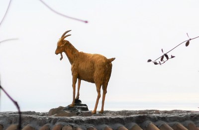 Èze, la chèvre d'or della leggenda