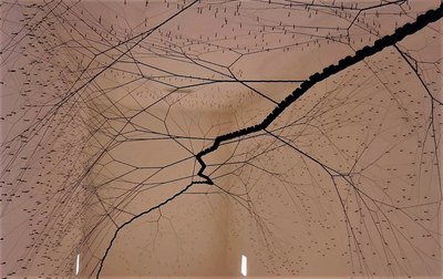 Fondation Carmignac - Opere 001
