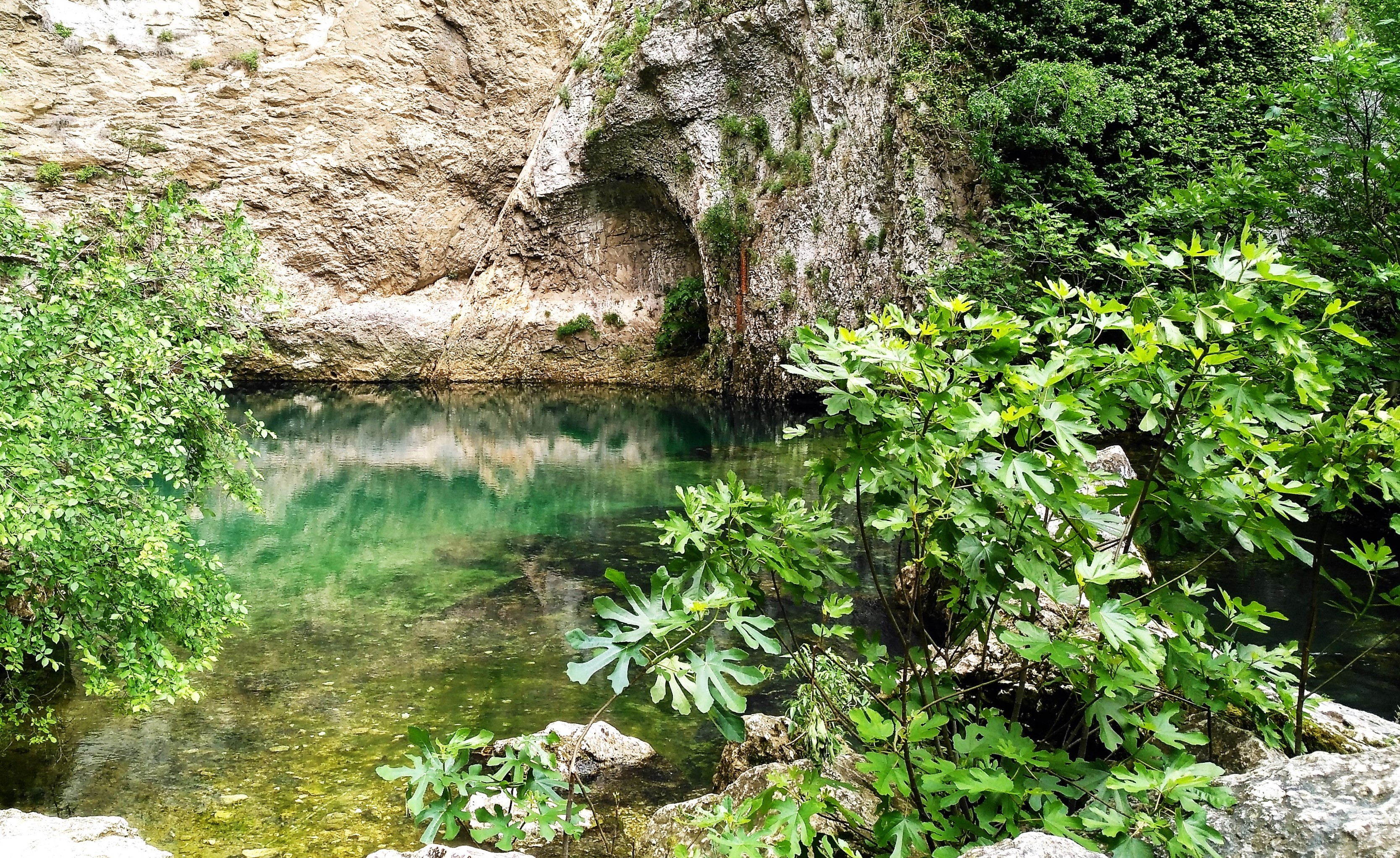 Fontaine de Vaucluse, là dove sgorga la Sorgue
