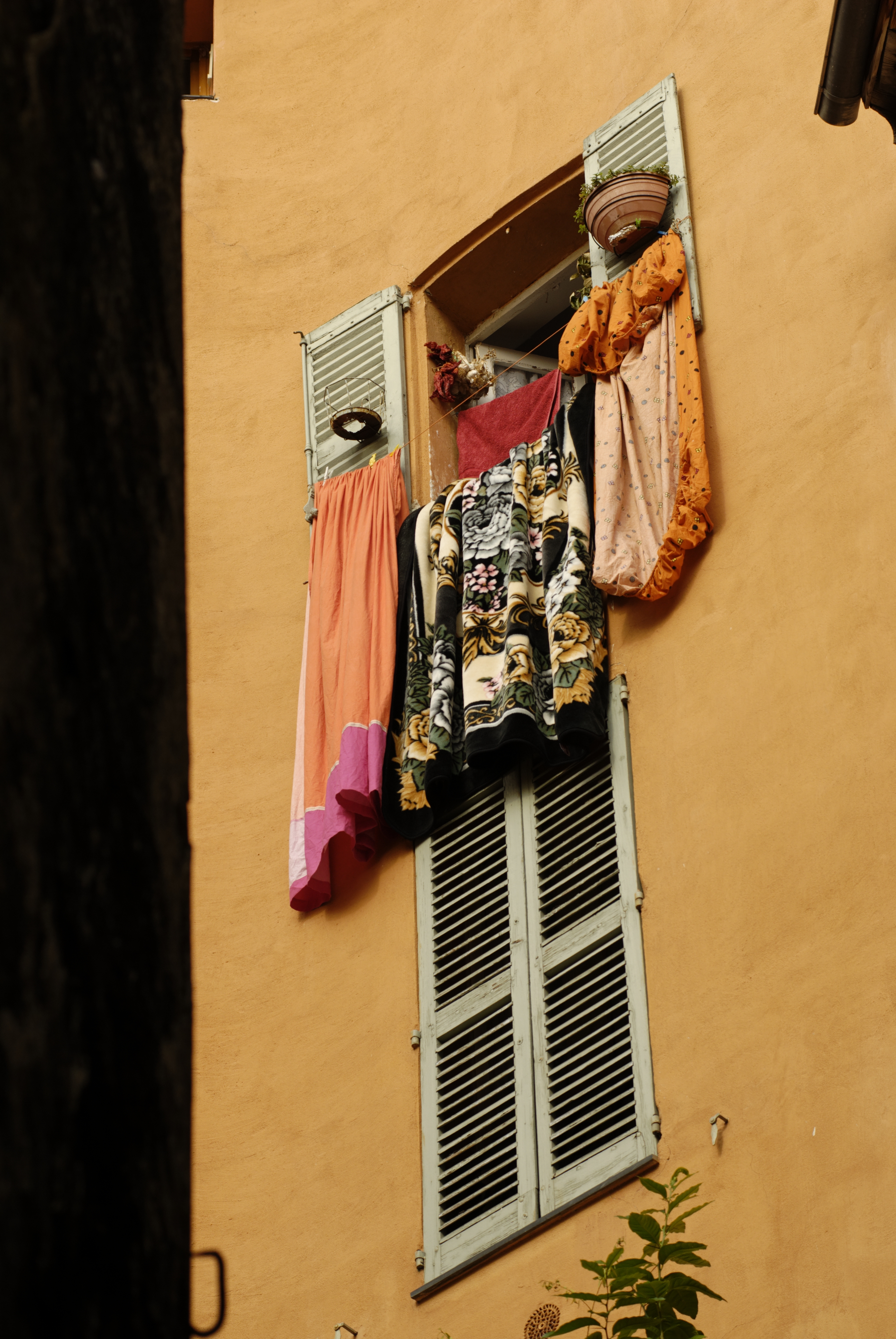 Grasse - Foto: Copyright © Antoine & Marta Konopka 8