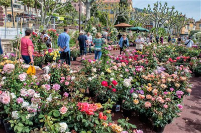 Grassse, mercato delle rose © OT Grasse