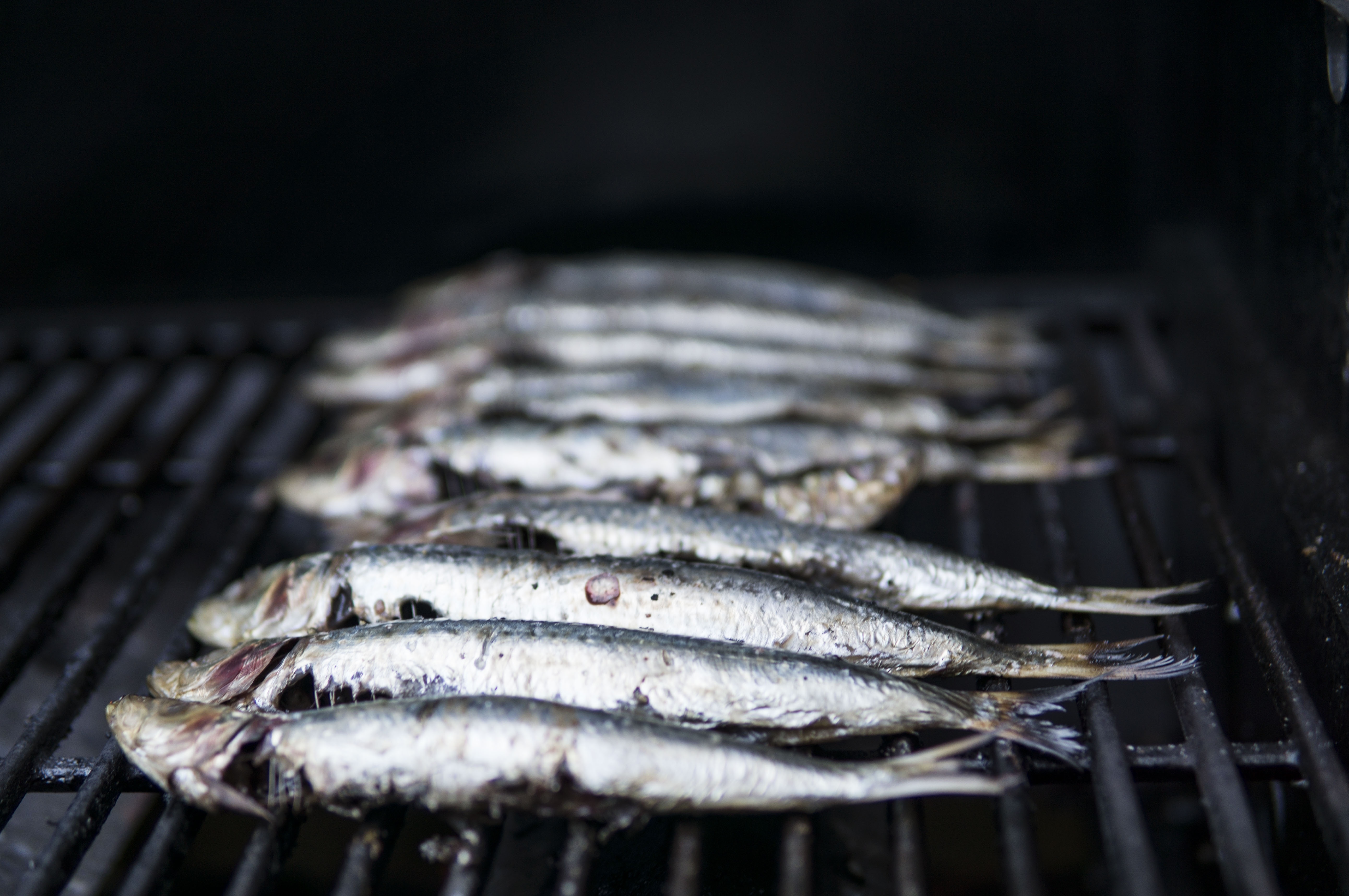 Grigliata di sardine