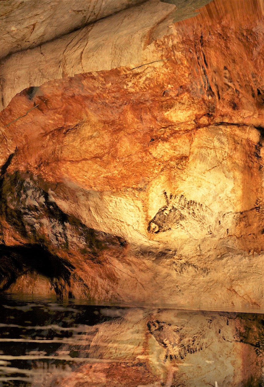 Grotta Cosquer, cavallo © OMTCM