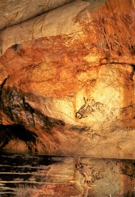 Grotta Cosquer, cavallo © OMTCM