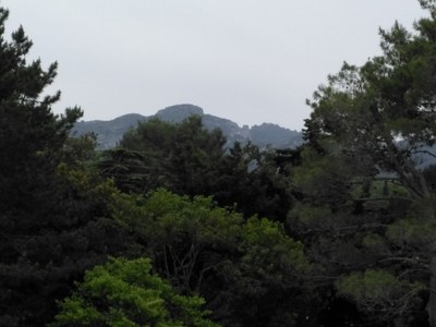 Hotel Canto Cigalo - La vista sulle Alpilles