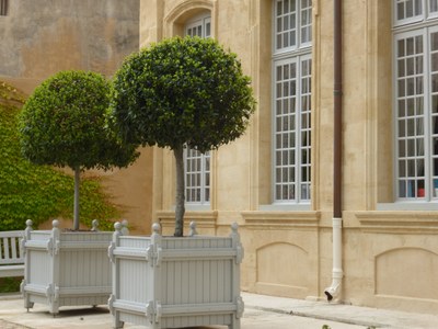Hôtel de Caumont - Particolare del cortile d'onore