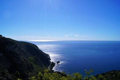 I treni più belli sono quelli che non riescono a stare lontani un solo minuto dal mare