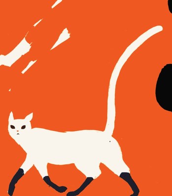 Il gatto Ussaro