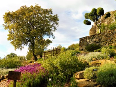 Il giardino secco di Valsaintes