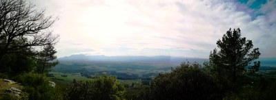 Il Massif des maures visto dalla Montagne Sainte-Victoire