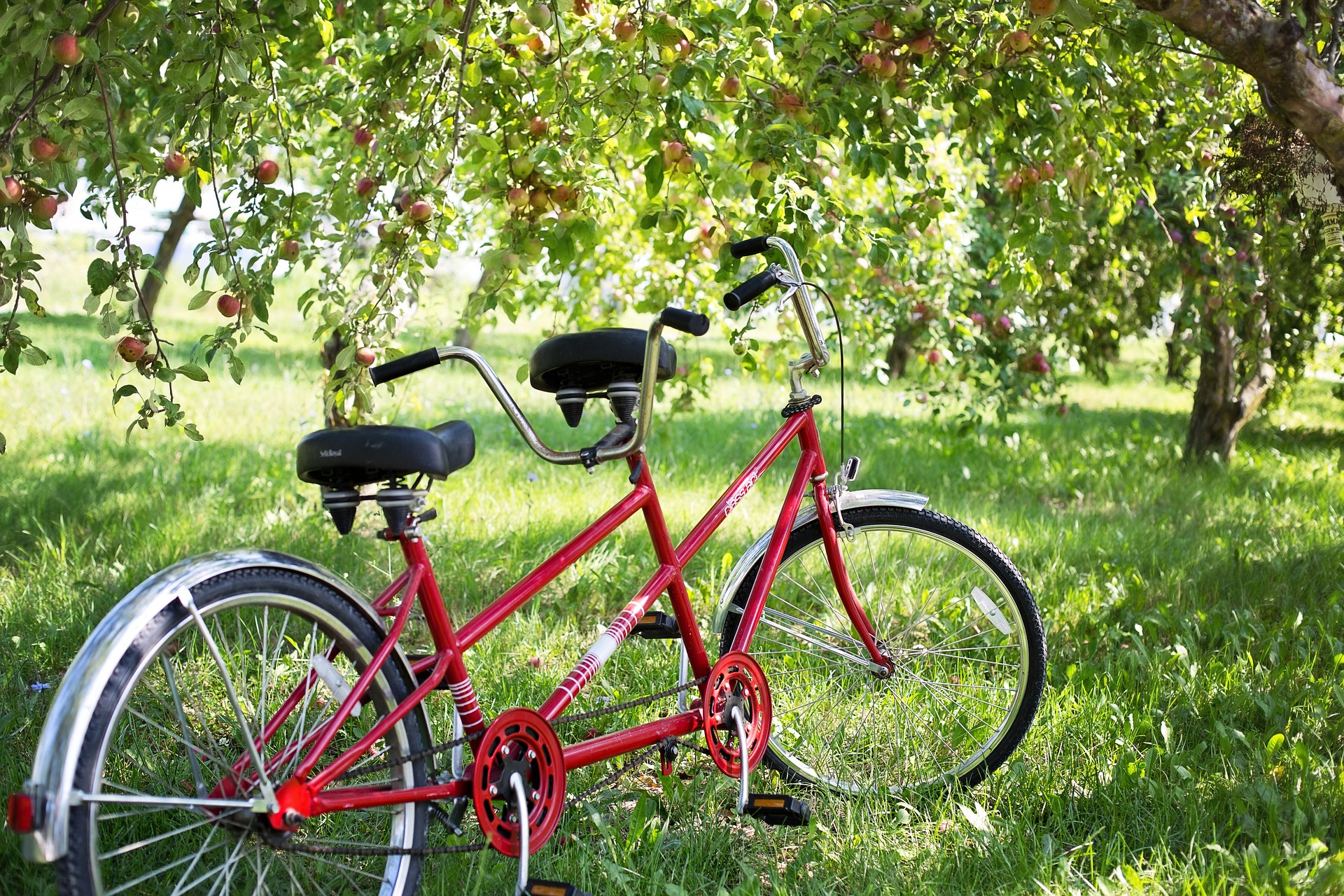 In bicicletta in campagna
