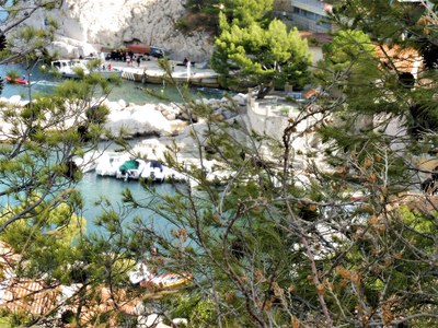 La baia di Carry-le-Rouet nascosta dalla vegetazione