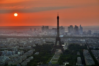 La linea di té e infusi 1336 è distribuita in tutta la Francia