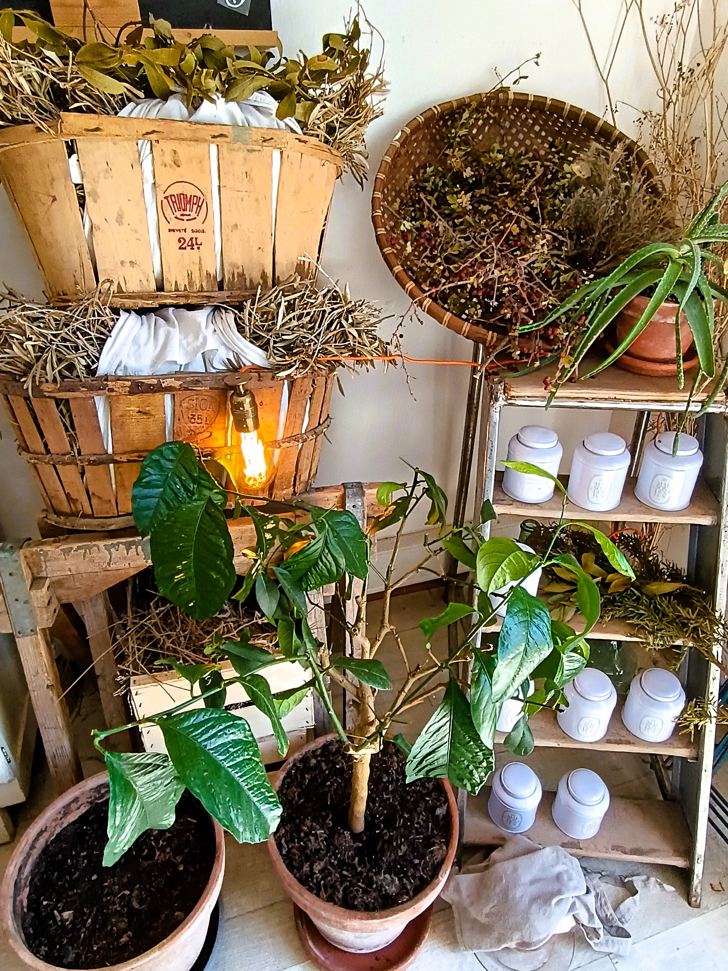 La Maison des Jus, un angolo dell'atelier boutique