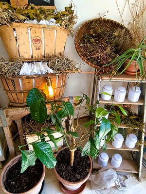 La Maison des Jus, un angolo dell'atelier boutique